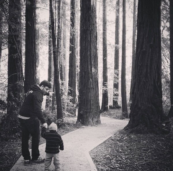 Exploring the redwoods